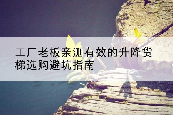 沭阳升降货梯怎么选-工厂老板亲测有效的升降货梯选购避坑指南