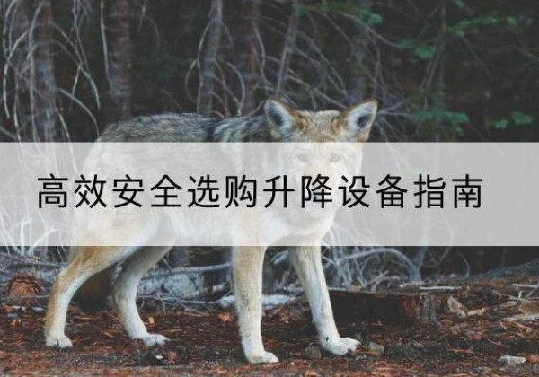 沭阳升降货梯厂家推荐-*安全选购升降设备指南