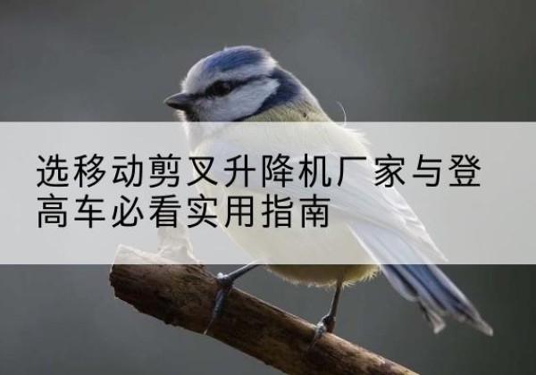 沭阳电动升降机厂家-选移动剪叉升降机厂家与登高车必看实用指南