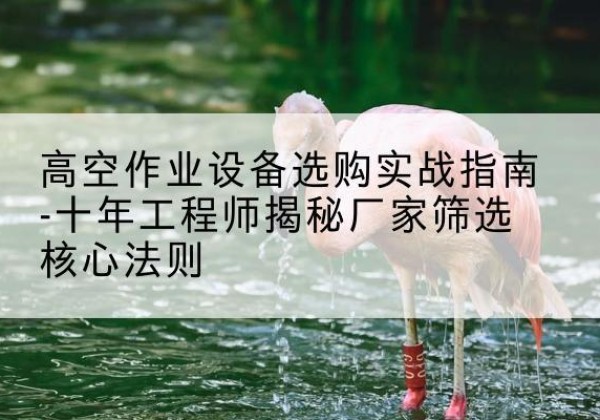 沭阳剪叉式升降机厂家-高空作业设备选购实战指南-十年工程师揭秘厂家筛选核心法则
