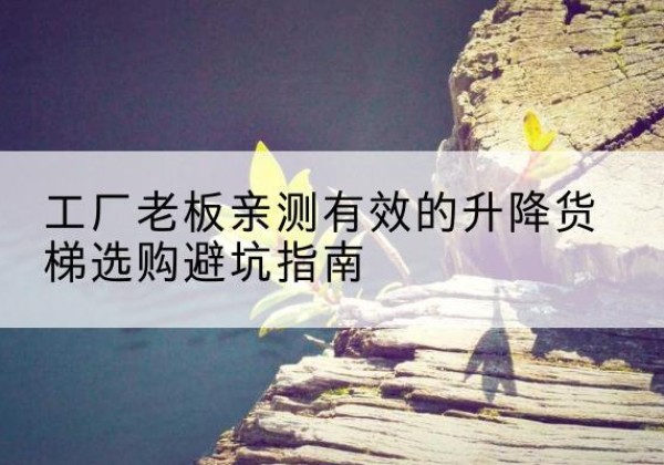 沭阳升降货梯怎么选-工厂老板亲测有效的升降货梯选购避坑指南